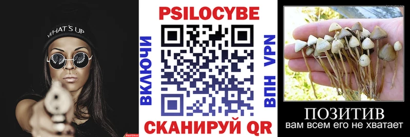 Псилоцибиновые грибы Cubensis  Тверь 